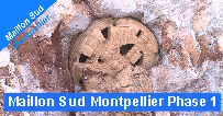 Maillon Sud Montpellier Phase 1